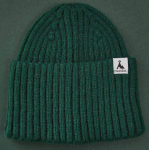 Våga - Ribbed Beanie - Racing Green / Black